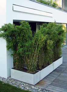 Modern Outdoor Planters: Rectangular Low Planter Pot 18" h 